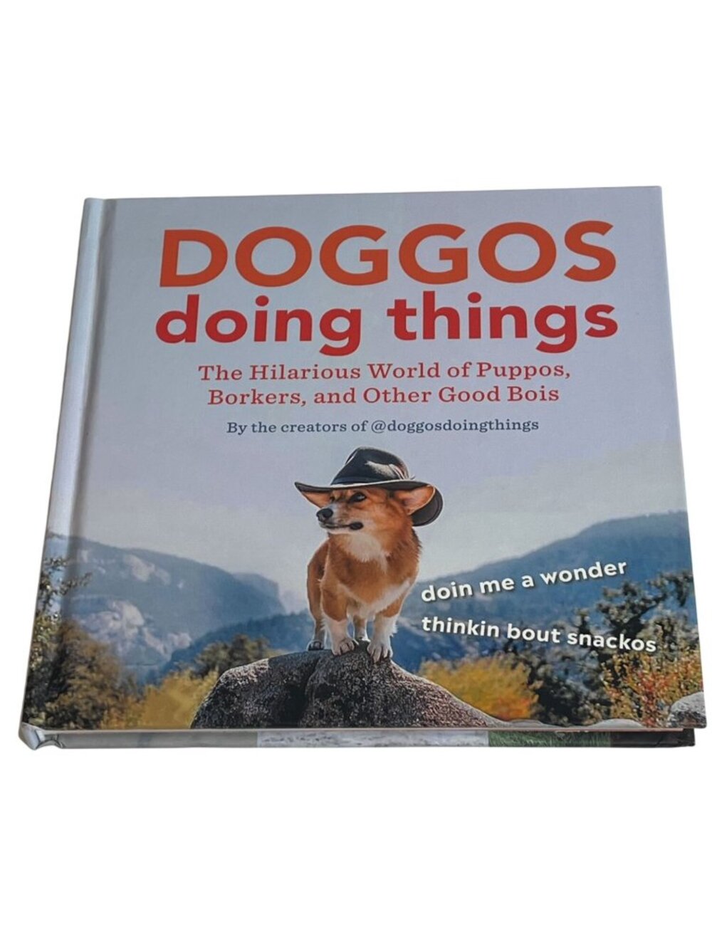 Doggos Doing Things Hardcover Funny Dog Photography Humor Gift Book